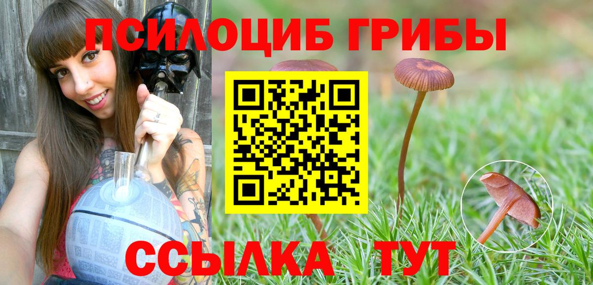 Псилоцибиновые грибы MAGIC MUSHROOMS  где купить   Батайск  Вход с VPN  Галлюциногенные грибы GOLDEN TEACHER 